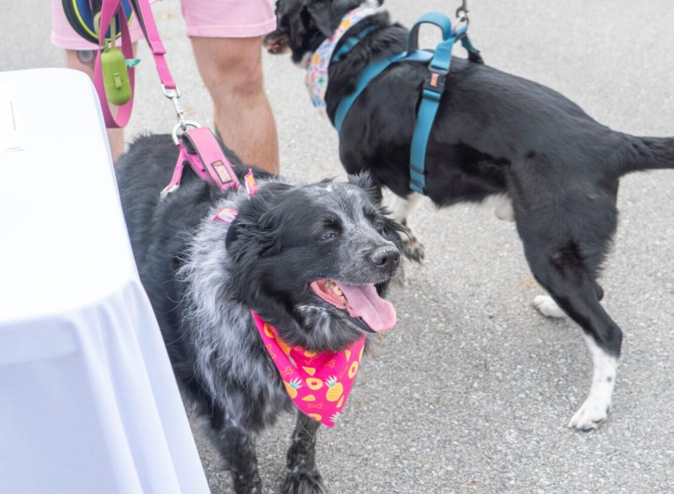 Screenshot 2025-09-25 183100